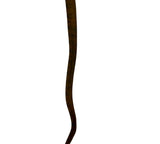 Load image into Gallery viewer, Yellow Amazon Tree Boa