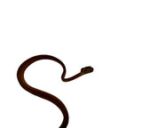 Load image into Gallery viewer, Red Amazon Tree Boa