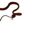 Load image into Gallery viewer, Red Amazon Tree Boa