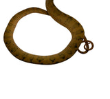 Load image into Gallery viewer, Yellow Amazon Tree Boa