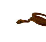 Load image into Gallery viewer, Yellow Patternless Amazon Tree Boa