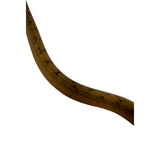 Load image into Gallery viewer, Yellow Amazon Tree Boa
