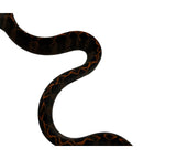Load image into Gallery viewer, Halloween Amazon Tree Boa