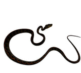 Load image into Gallery viewer, Halloween Amazon Tree Boa