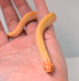 Load image into Gallery viewer, 2024 Female Albino Super Anaconda Western Hognose- Red Line (Heterodon nasicus)