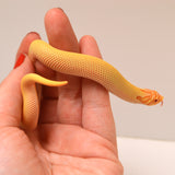 Load image into Gallery viewer, 2024 Female Albino Super Anaconda Western Hognose (Heterodon nasicus) Red Line