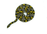 Load image into Gallery viewer, Female Mandarin Rat Snake