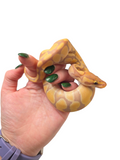 Load image into Gallery viewer, 2024 Male Coral Glow Het Clown Enchi Ball Python