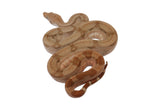 Load image into Gallery viewer, SALE! 2023 Female Fire Central American T+ Boa Constrictor