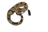 Load image into Gallery viewer, 2022 Male CBB Iquitos Peruvian Red Tailed Boa Constrictor.