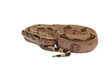 Load image into Gallery viewer, 2022 Male South Brazilian Boa Constrictor Amarali - Kerry King Stock.