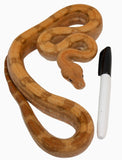 Load image into Gallery viewer, 2022 Male Hypo Burke T+ Fire Boa Constrictor