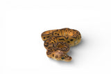 Load image into Gallery viewer, Female Clown Pastel EMG Ball Python