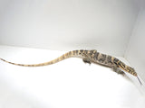 Load image into Gallery viewer, Pure Hypo Sumbawa Asian Water Monitor