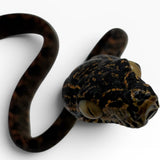 Load image into Gallery viewer, Halloween Amazon Tree Boa