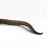 Load image into Gallery viewer, 66% Het Pied 50% Het T- Blood Python