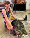 Load image into Gallery viewer, Live Reptile Demo - We Bring the Zoo to YOU!