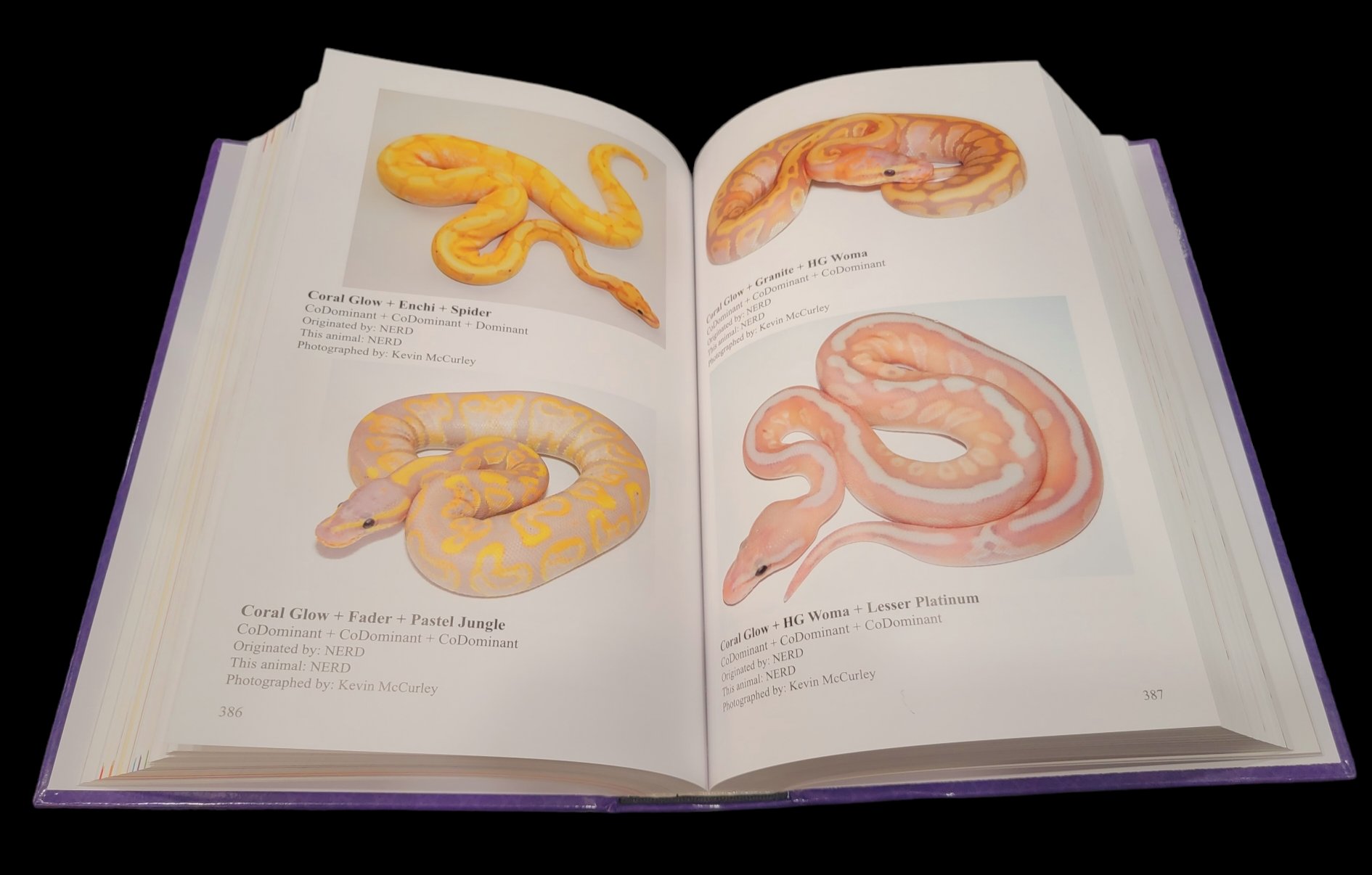 The Complete Ball Python Kevin McCurley The Complete Ball Python Kevin McCurley