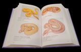 Load image into Gallery viewer, The Ultimate Ball Python: Morph Maker Guide Book by Kevin McCurley 2nd Edition SIGNED COPY