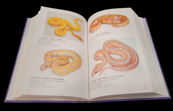 The Ultimate Ball Python: Morph Maker Guide Book by Kevin McCurley