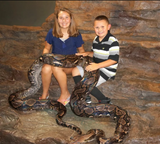 Load image into Gallery viewer, Live Reptile Demo - We Bring the Zoo to YOU!