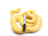 Load image into Gallery viewer, 2021 Female Albino Tiger Granite Back Reticulated Python