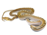 Load image into Gallery viewer, 2021 Female Phantom Motley Het. Albino Reticulated Python