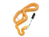Load image into Gallery viewer, 2022 Male Albino Granite Back Possible Tiger Reticulated Python - Price