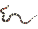Load image into Gallery viewer, 2022 Male Apricot Pueblan Milk Snake