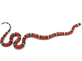 Load image into Gallery viewer, 2022 Male Het Splotched Possible Het Albino Sinaloan Milk Snake