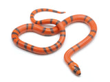 Load image into Gallery viewer, 2022 Male Hypo Tangerine Honduran Milk Snake 