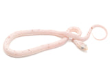 Load image into Gallery viewer, 2022 Male Palmetto Possible Het Albino Corn Snake