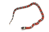 Load image into Gallery viewer, 2022 Male Possible Het Albino Possible Het Splotched Sinaloan Milk Snake