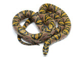 Load image into Gallery viewer, Adult Male Breeder Red Line Mandarin Rat Snake - Special