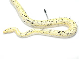 Load image into Gallery viewer, Breeder Male Cow From Calico Reticulated Python