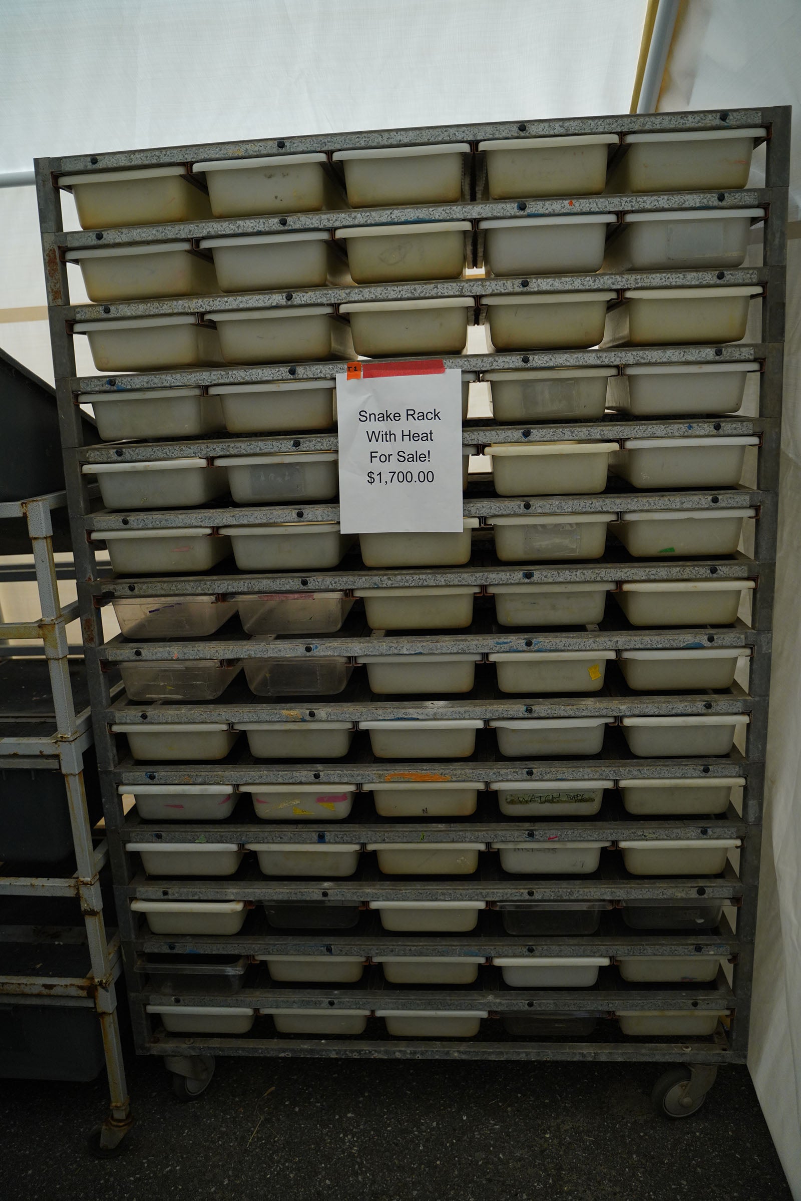 SALE! 70 Bin Freedom Breeder Rack With Heat - Local Pick Up Only – New ...