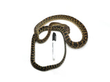 Load image into Gallery viewer, Well Established Long Term Captive Male Jayapura Scrub Python