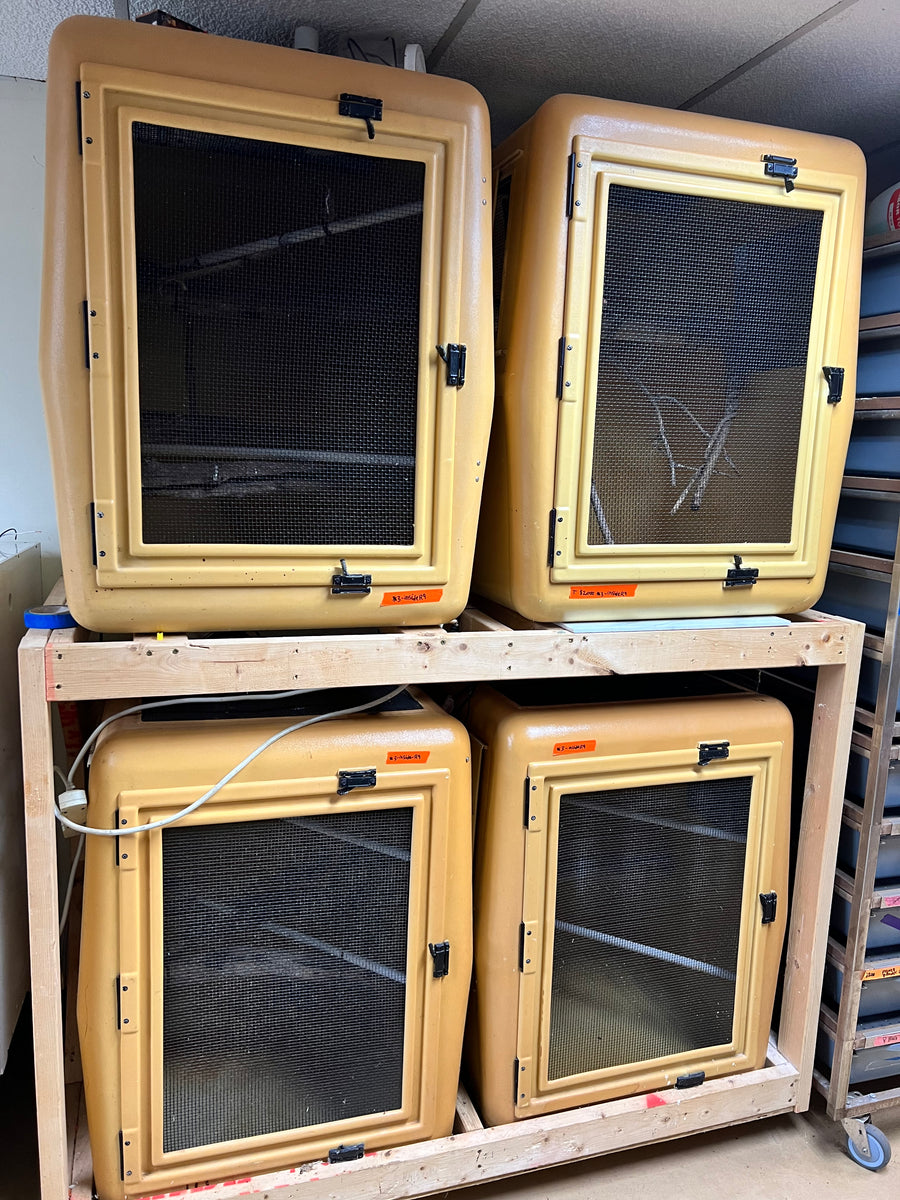Catsaurus Racks Arboreal Cages & Holding Rack System 2'X2'X3' Local Pick Up Only – New ...